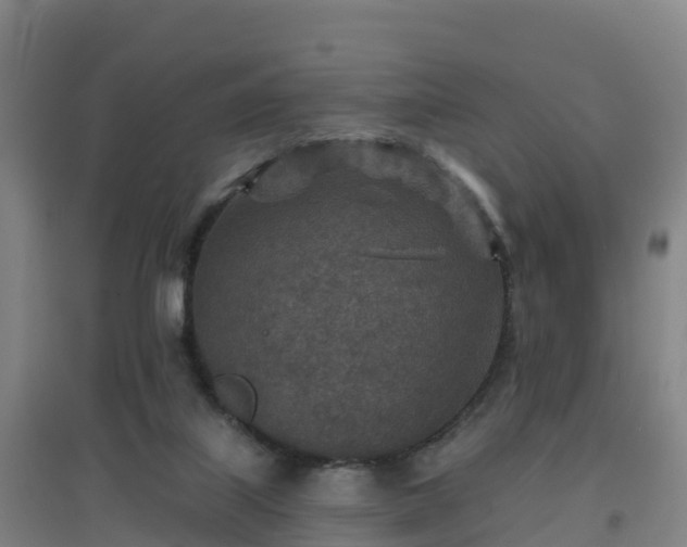 X0000096710067200802121234