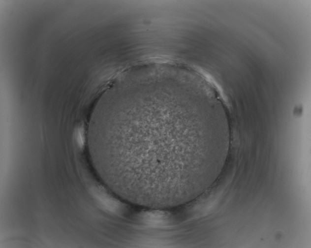 X0000096710069200802121235