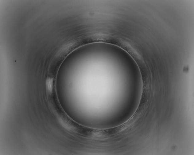 X0000096710070200802121235