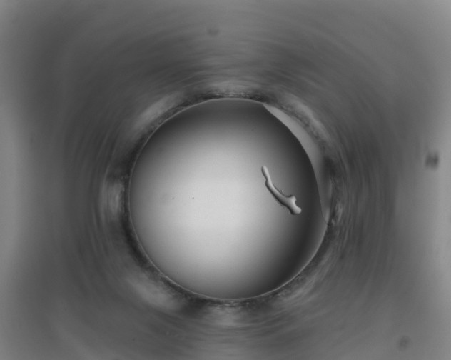 X0000096710071200802121235