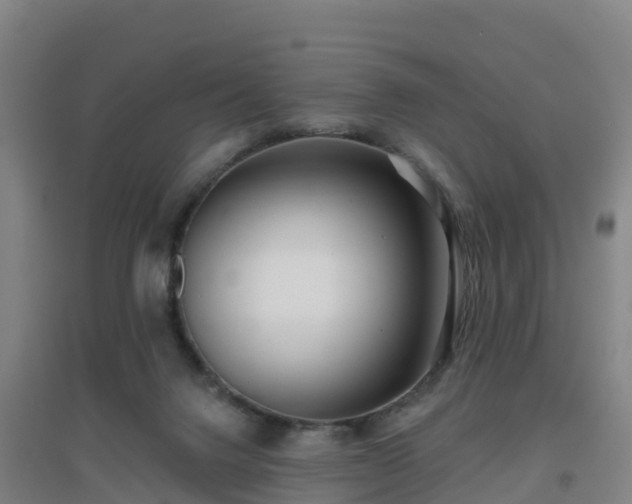 X0000096710072200802121235