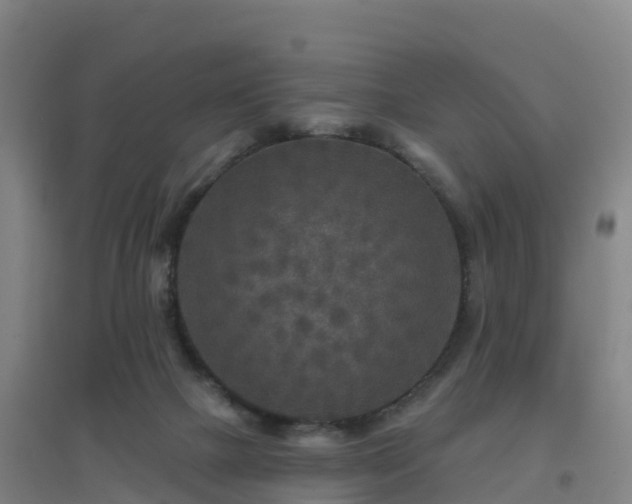 X0000096710073200802121235