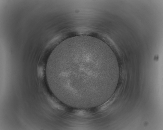 X0000096710074200802121235