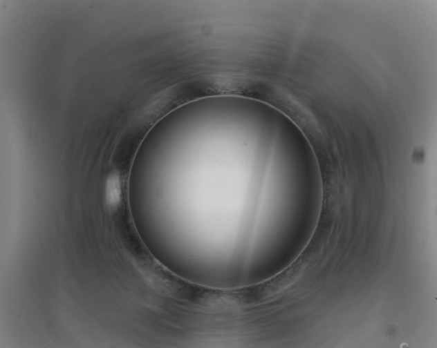 X0000096710075200802121235