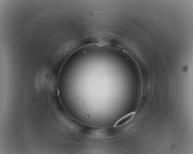 X0000096710078200802121235