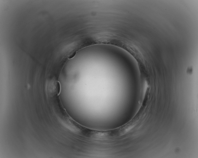 X0000096710081200802121235