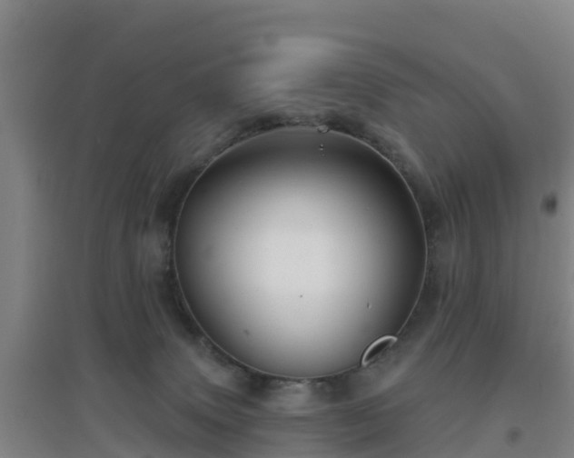 X0000096710083200802121235