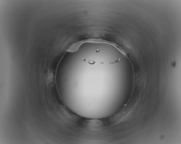 X0000096710087200802121235