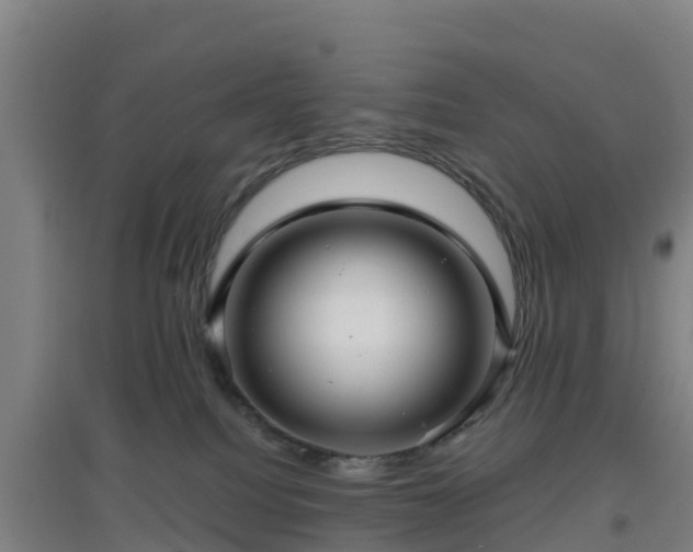 X0000096710088200802121235