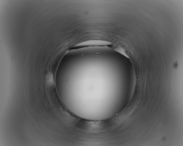 X0000096710089200802121235