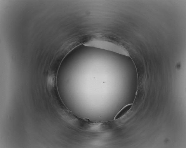 X0000096710090200802121235