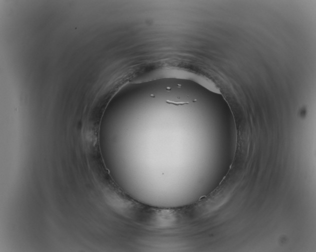 X0000096710091200802121235