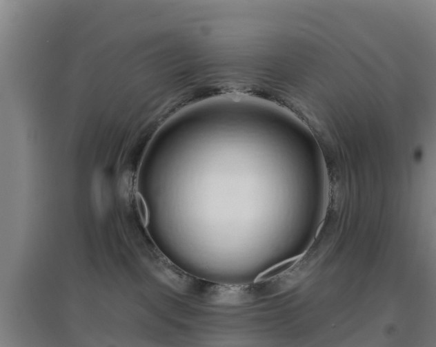 X0000096710093200802121235