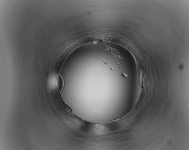 X0000096710095200802121235