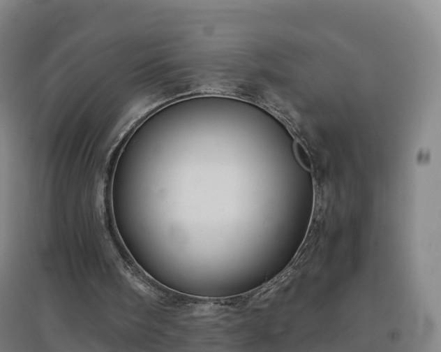 X0000096710098200802121234