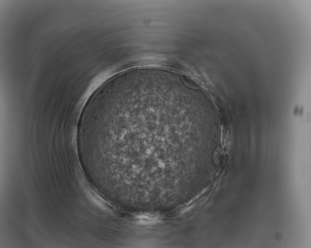 X0000096710099200802121234