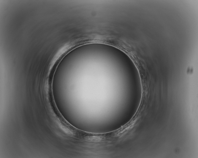 X0000096710102200802121234