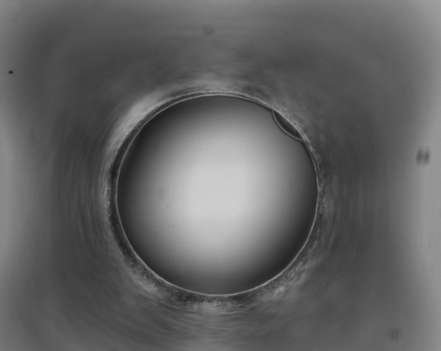 X0000096710103200802121234