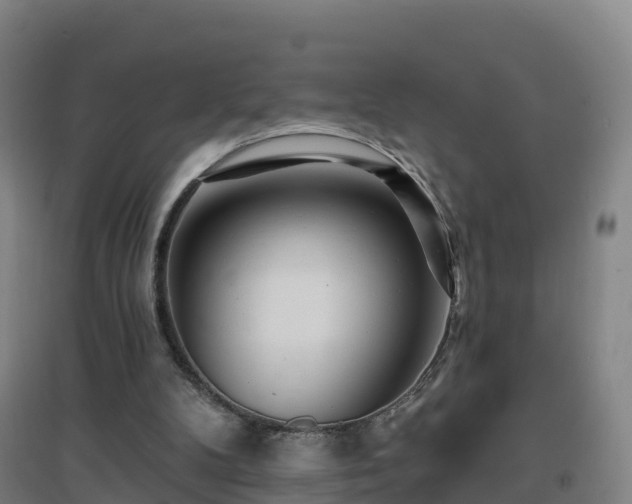 X0000096710104200802121234