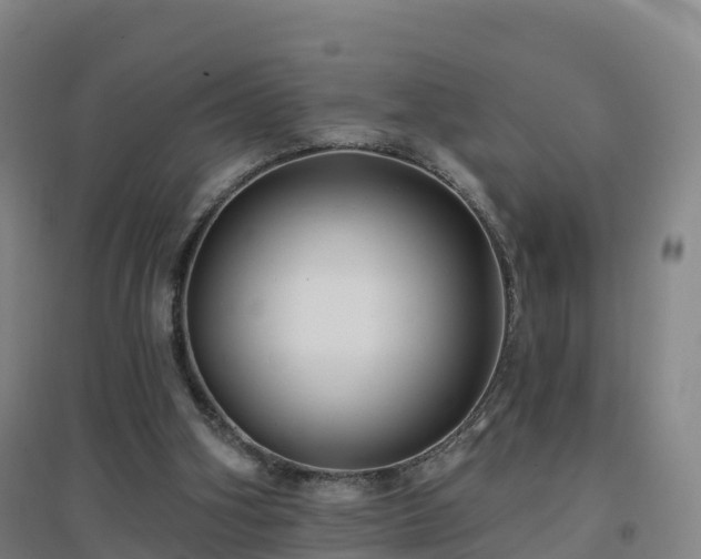 X0000096710106200802121234