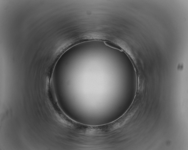 X0000096710109200802121234