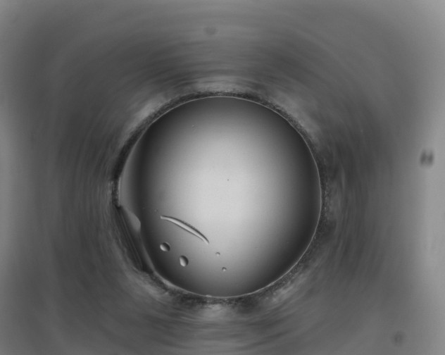 X0000096710111200802121234