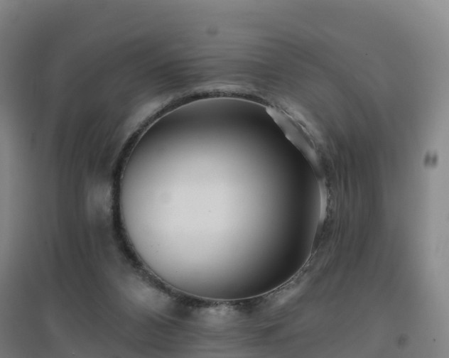 X0000096710112200802121234