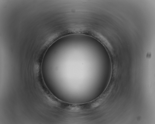 X0000096710113200802121234