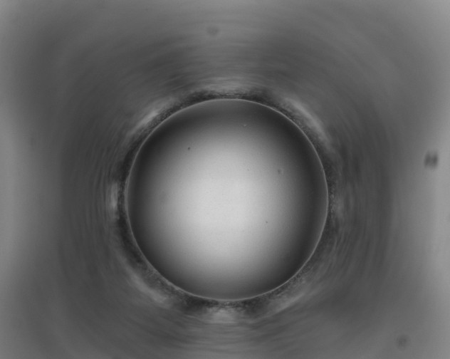 X0000096710115200802121234