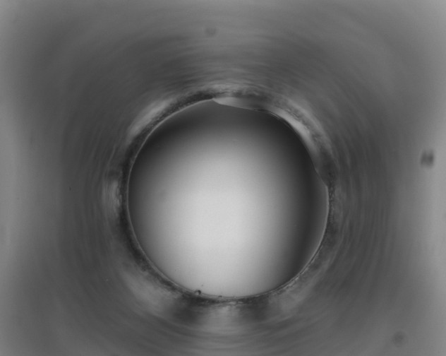 X0000096710116200802121234