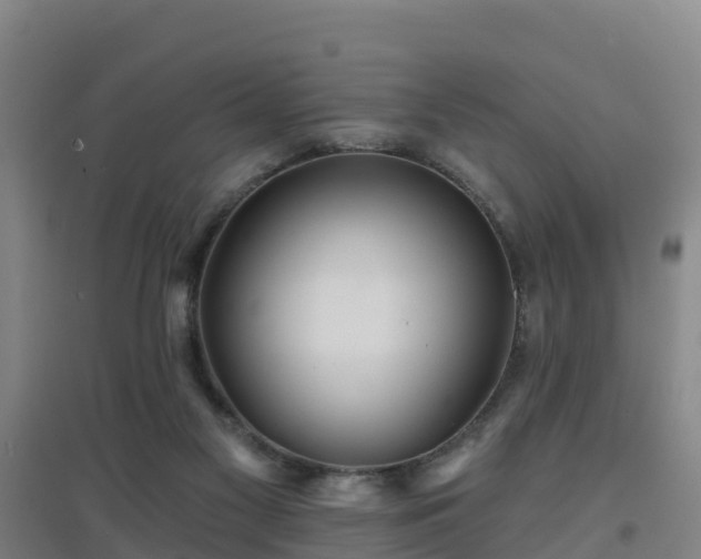 X0000096710117200802121234