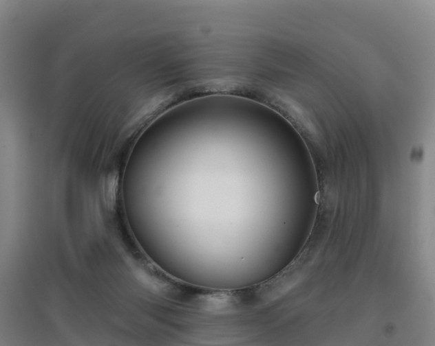 X0000096710118200802121234