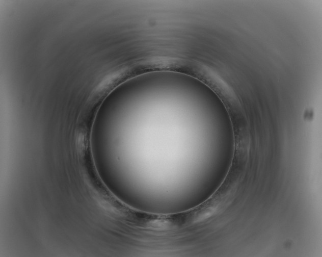 X0000096710119200802121234