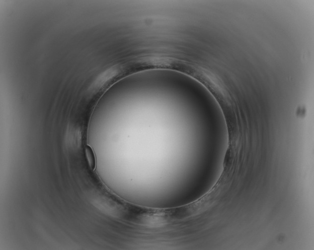 X0000096710120200802121234