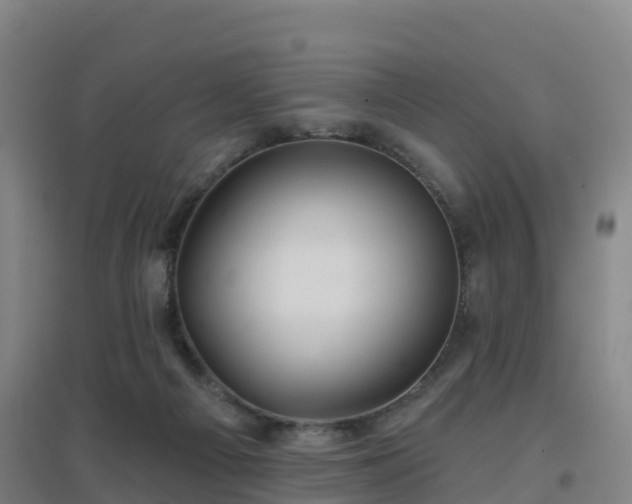 X0000096710121200802121234