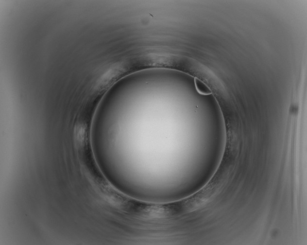 X0000096710123200802121234