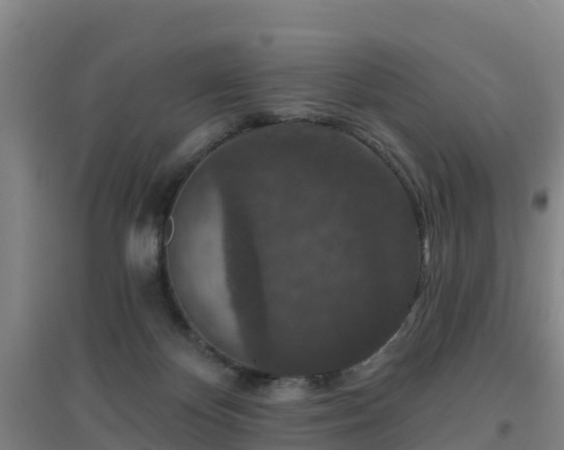 X0000096710124200802121234