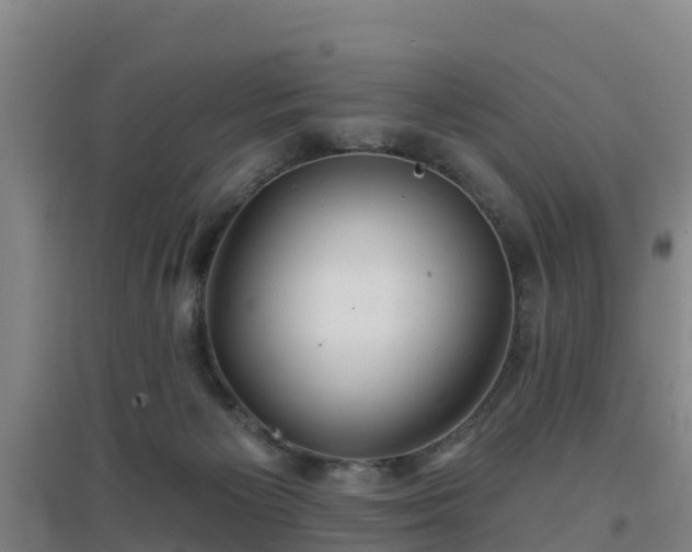 X0000096710125200802121234