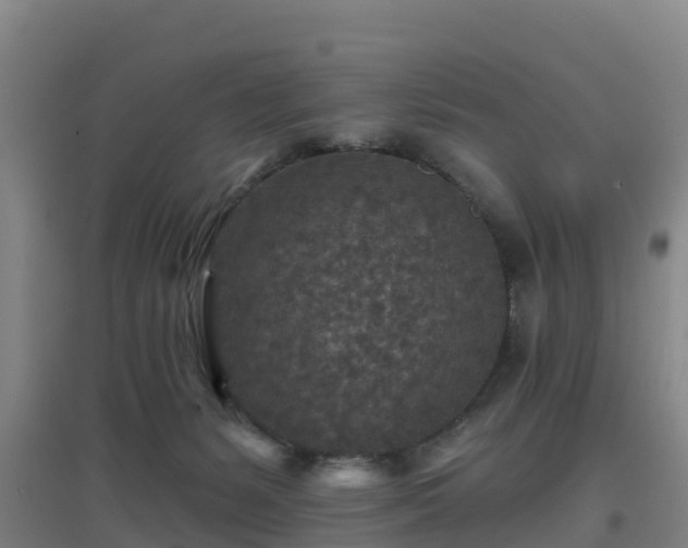 X0000096710127200802121234