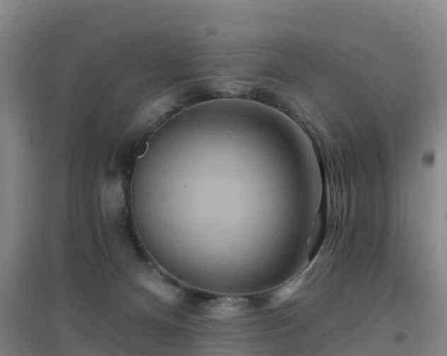 X0000096710128200802121234