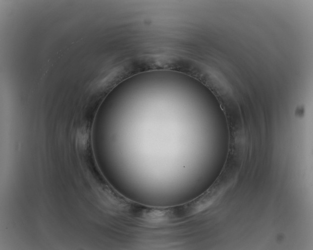 X0000096710129200802121234