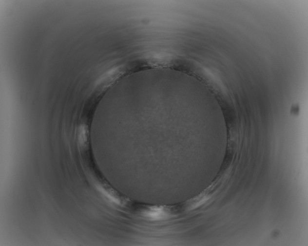 X0000096710130200802121234