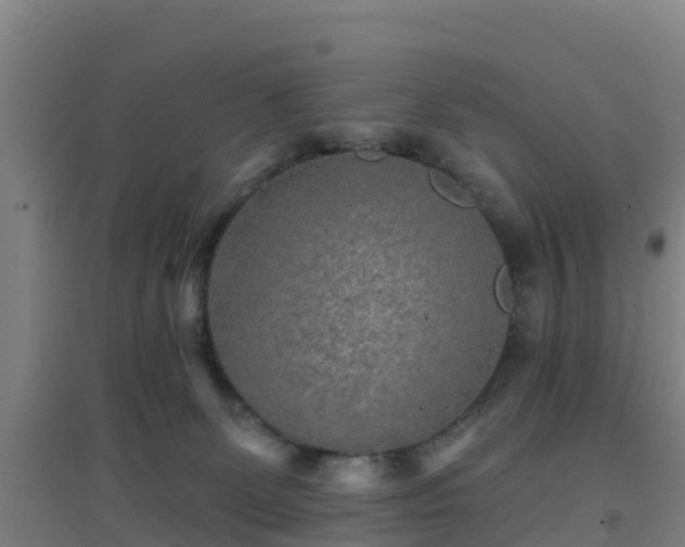 X0000096710131200802121234