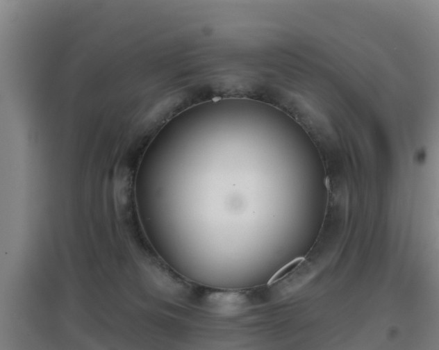 X0000096710133200802121234