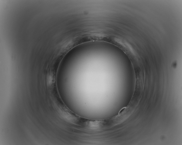 X0000096710134200802121234