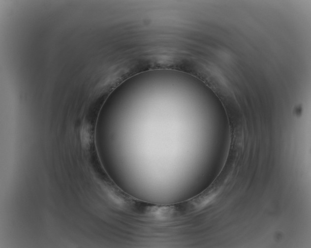 X0000096710135200802121234