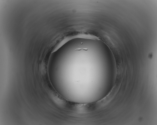 X0000096710136200802121234