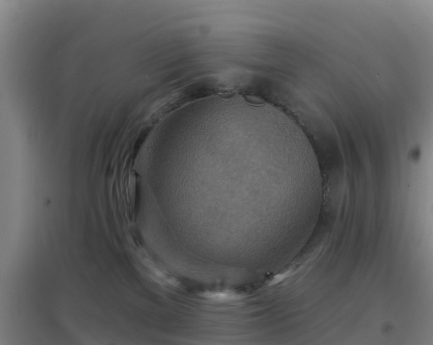 X0000096710137200802121233