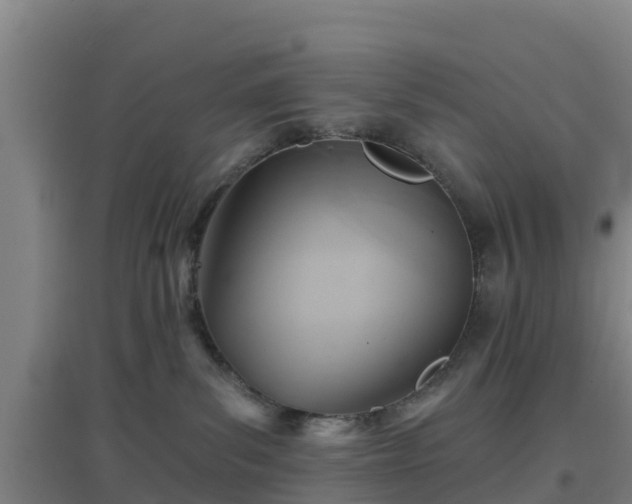 X0000096710139200802121233