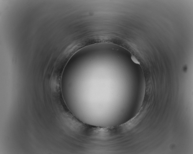 X0000096710140200802121233